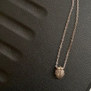 Kids ladybug pendant and chain